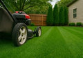 Yard Work Services